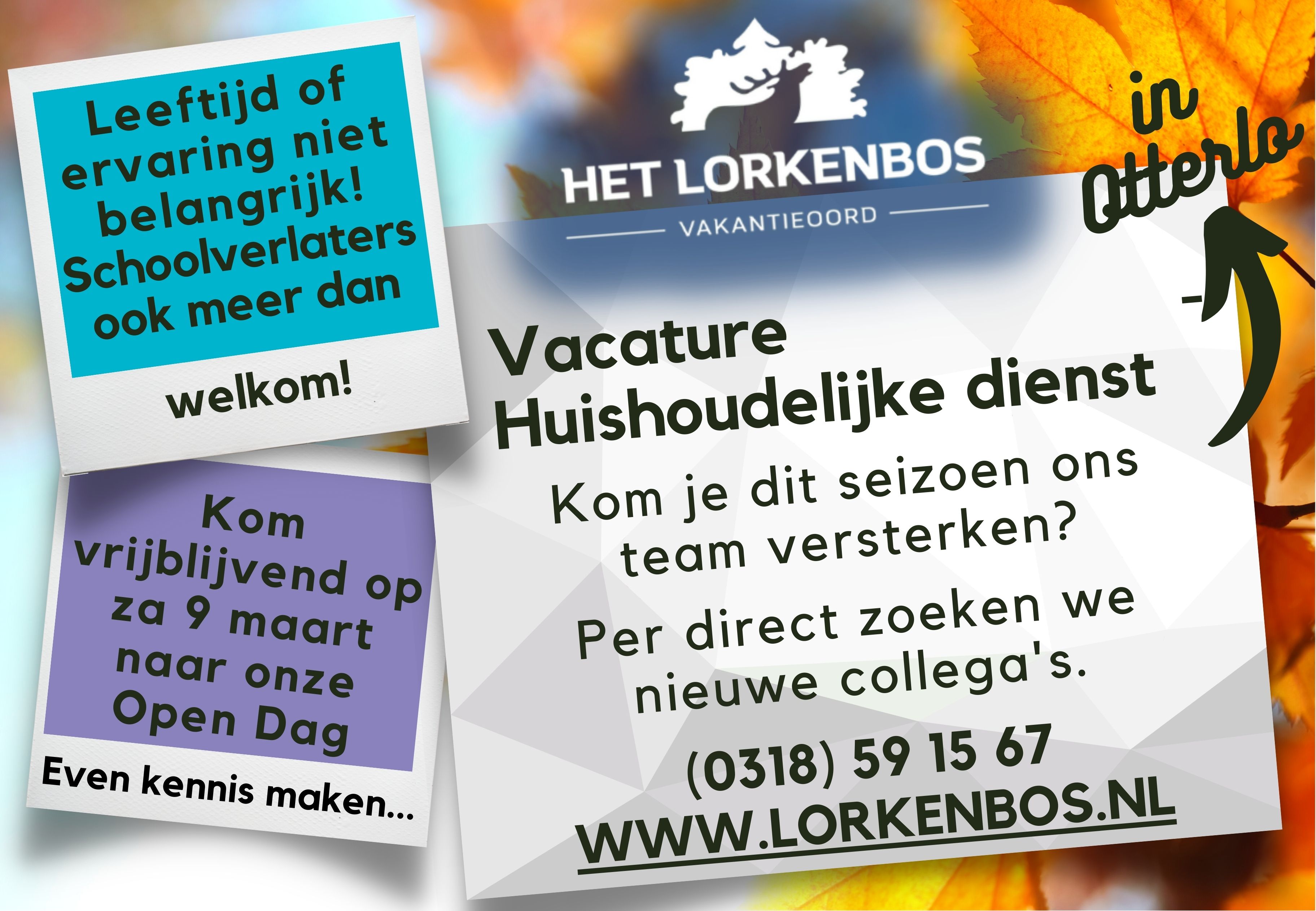 Vacatures | Lorkenbos